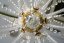 Křišťálový lustr, Royal Crystal, zlacený - 6 žárovek