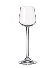 Sklenice na likér, Crystalite Bohemia, ARDEA/AMUNDSEN, 60 ml