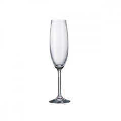 Poháre na šampanské, Crystalite Bohemia, COLIBRI, 220 ml, 6 ks Poháre na šampanské, Crystalite Bohemia, COLIBRI, 220 ml, 6 ks