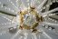 Křišťálový lustr, Royal Crystal, zlacený - 8+4 žárovek