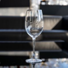 Sklenice na víno SCHOTT ZWIESEL Classico 645 ml