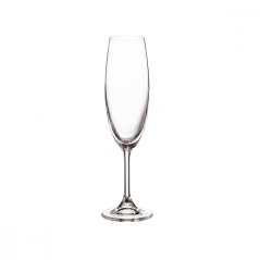 Sklenice SYLVIA 220 ml na šampaňské a sekt | Crystalite Bohemia