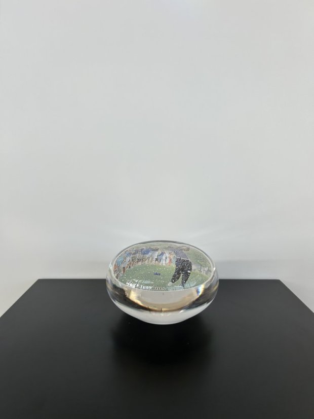 Skleněné těžítko s obrázkem Tiger Woods, 1 ks